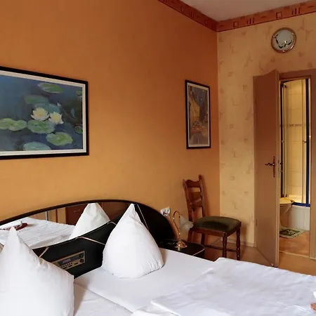 酒店 赛斯赛尔缆车酒店 科布倫茨